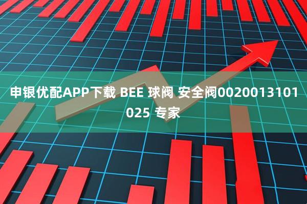 申银优配APP下载 BEE 球阀 安全阀0020013101025 专家