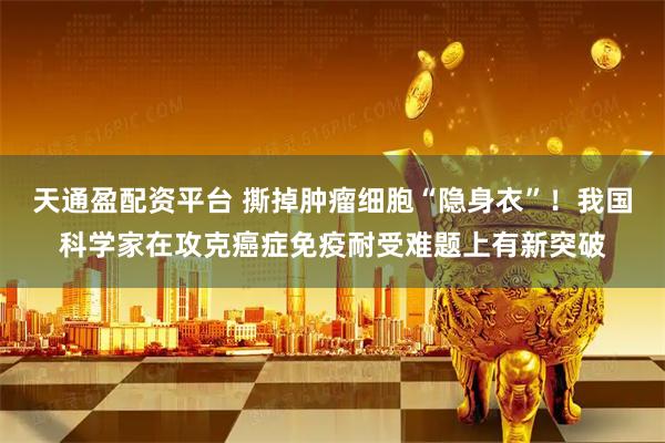 天通盈配资平台 撕掉肿瘤细胞“隐身衣”！我国科学家在攻克癌症免疫耐受难题上有新突破