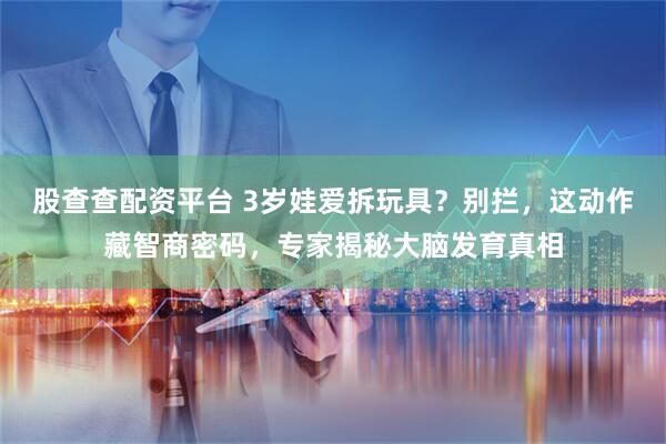 股查查配资平台 3岁娃爱拆玩具？别拦，这动作藏智商密码，专家揭秘大脑发育真相